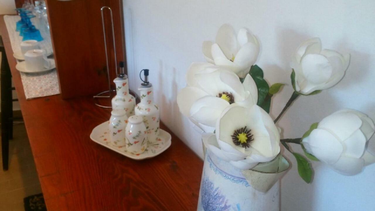 Apartments Milea 科尔丘拉 外观 照片